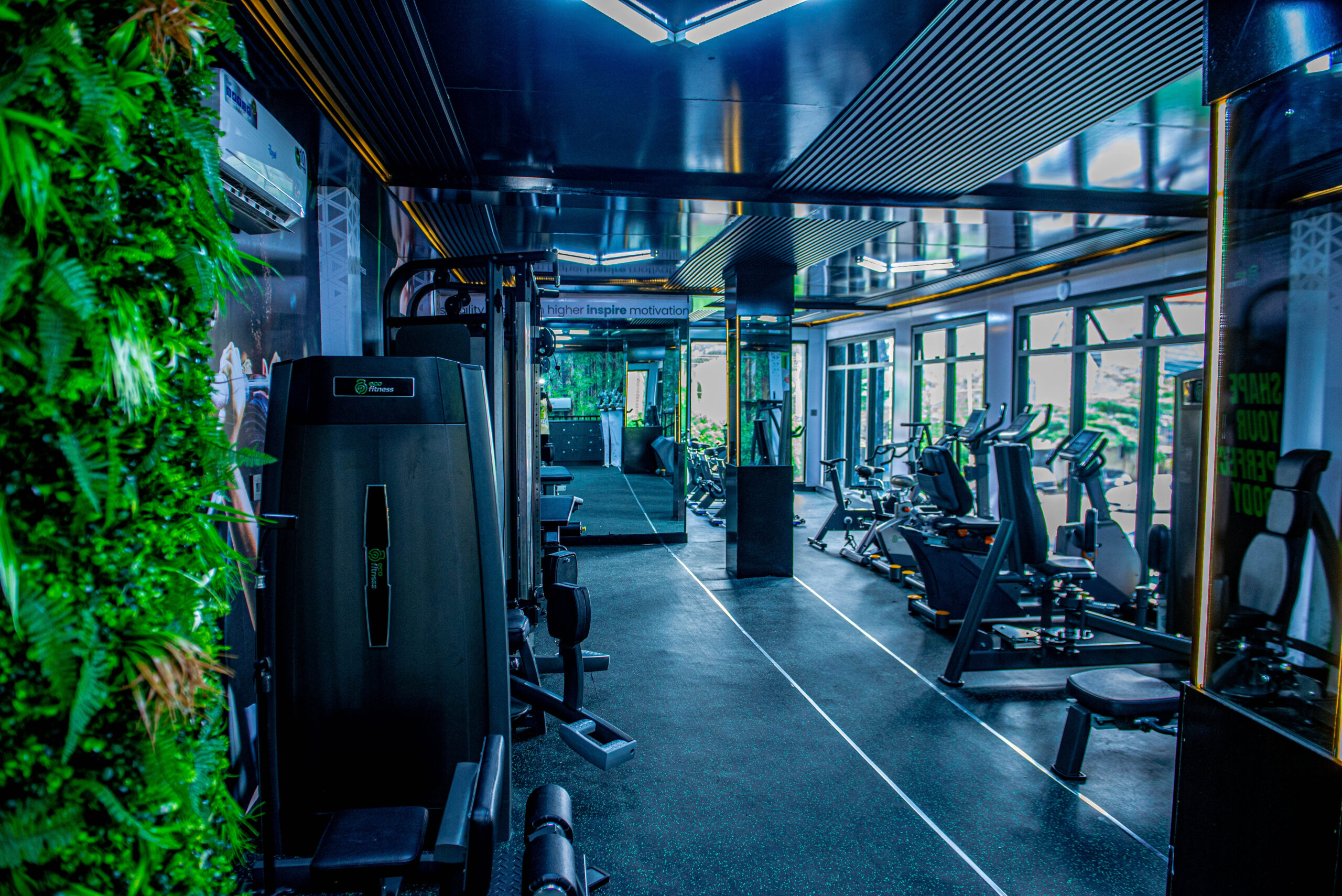 Plant wall inside an EcoFitness branch